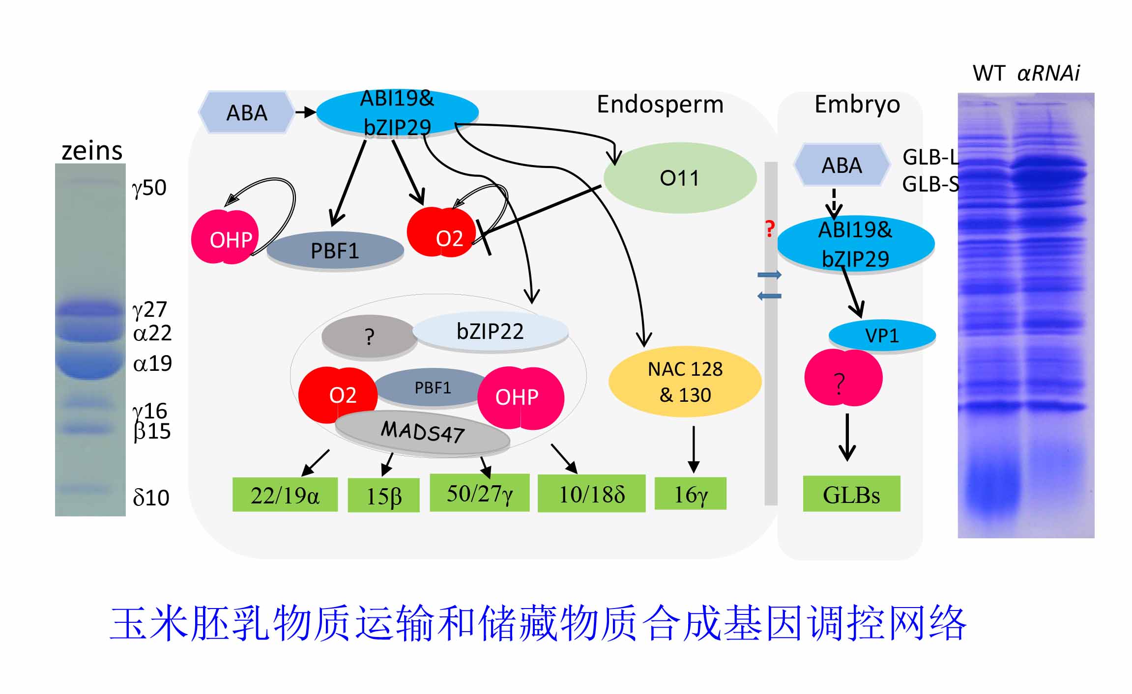 研究内容图片2.jpg